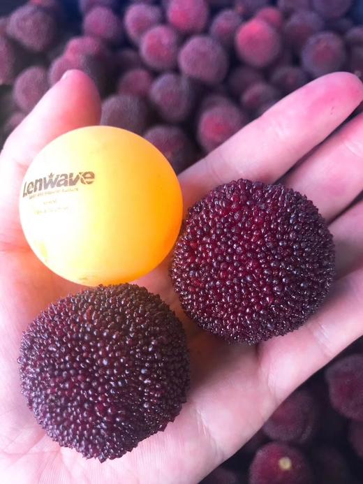 仙居杨梅鲜果 商品图2