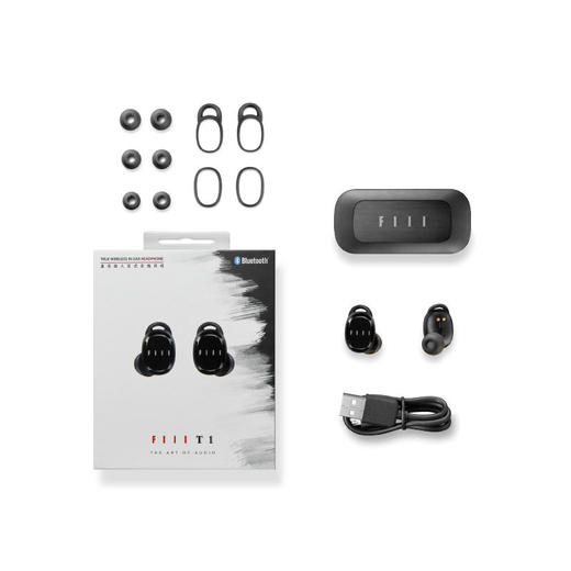 FIIL斐耳耳机 真无线T1蓝牙耳机双耳5.0入耳塞头戴式运动耳机 商品图3