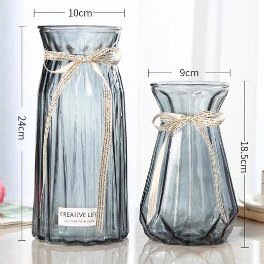 【二件套】简约文艺玻璃花瓶 透明水培富贵竹百合大号花瓶 商品图2