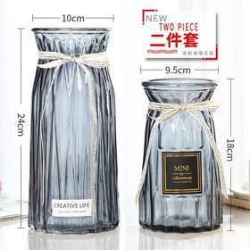 【二件套】简约文艺玻璃花瓶 透明水培富贵竹百合大号花瓶