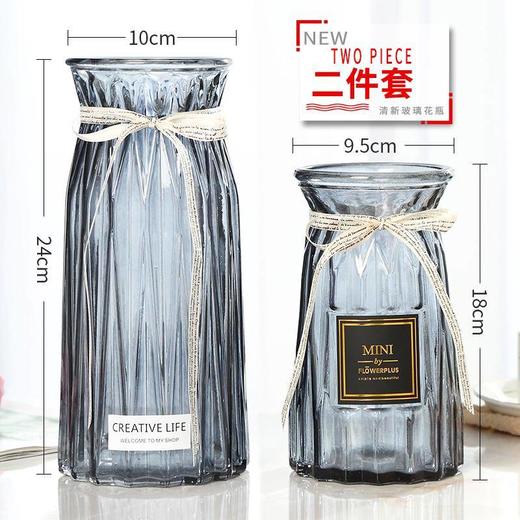 【二件套】简约文艺玻璃花瓶 透明水培富贵竹百合大号花瓶 商品图0