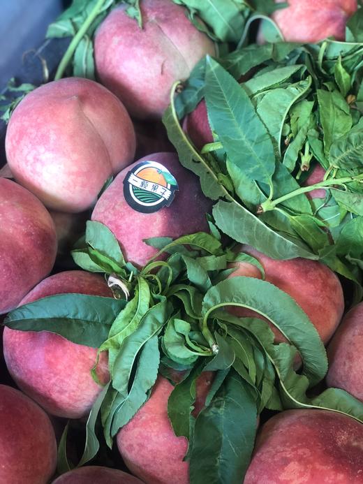 特价突围大个毛桃500克左右果体偏软