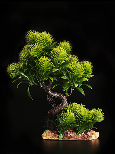 造景大师系列—唯美【绒松】 随手一放即可绽放唯美!