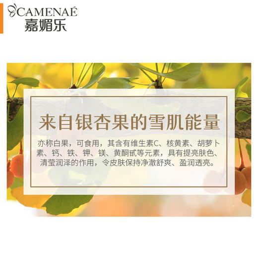 嘉媚乐银杏果净澈透白隔离乳SPF25  面部全身  隔离防晒  修颜嫩肤 商品图3