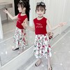 【童装】女童套装裙中大童时髦夏装儿童超洋气T恤雪纺裙子两件套 商品缩略图2
