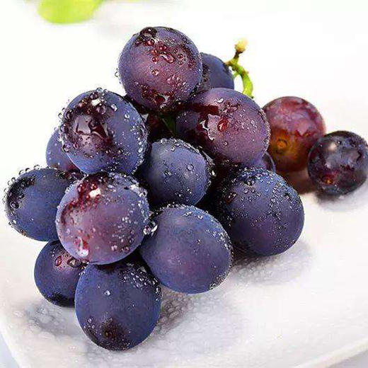 【乒乓球葡萄】59元一串 - 阳光果叔
