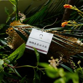 椰糖泰茶云朵卷（顺丰全国发，周一店休，按订单顺序发货。）