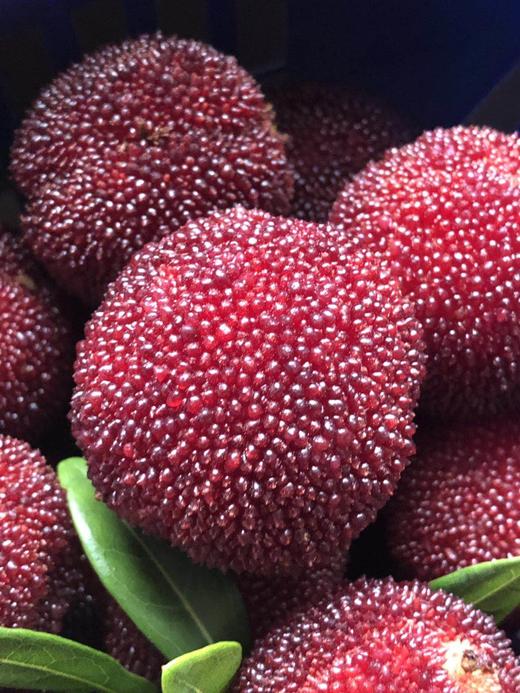 仙居杨梅鲜果 商品图1