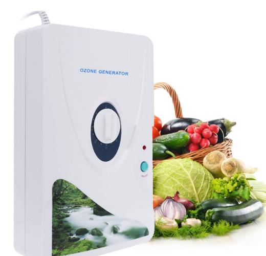 【家用电器】小家电活氧机水果蔬菜清洗器臭氧发生器220V/110V空气净化器 商品图0