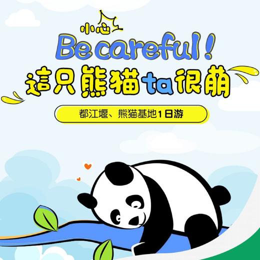 熊猫基地+都江堰纯玩一日游（网红私房川菜+三环专车接早+科班导游专业讲解） 商品图1