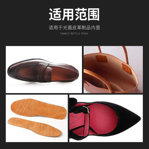 法国进口Famaco鞋内里防脱色喷剂0022 商品图3