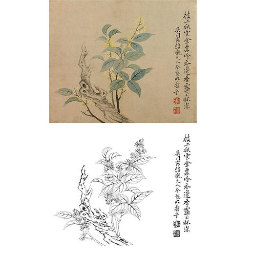 恽寿平没骨花鸟白描底稿-斗方小品册页-SP43 商品图0