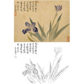 恽寿平没骨花鸟白描底稿-斗方小品册页-SP32