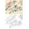 恽寿平没骨花鸟白描底稿-斗方小品册页-SP17 商品缩略图0