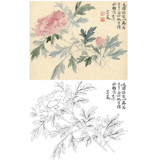 恽寿平没骨花鸟白描底稿斗方小品册页sp17