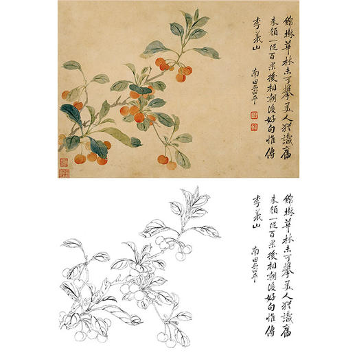 恽寿平没骨花鸟白描底稿-斗方小品册页-SP33 商品图0