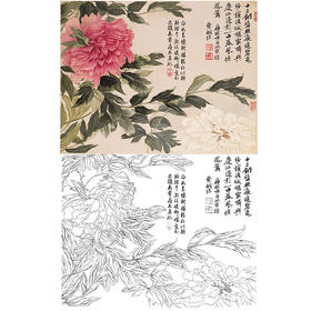 恽寿平没骨花鸟白描底稿-斗方小品册页-SP49