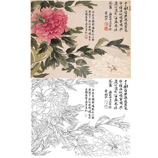 恽寿平没骨花鸟白描底稿-斗方小品册页-SP49 商品图0