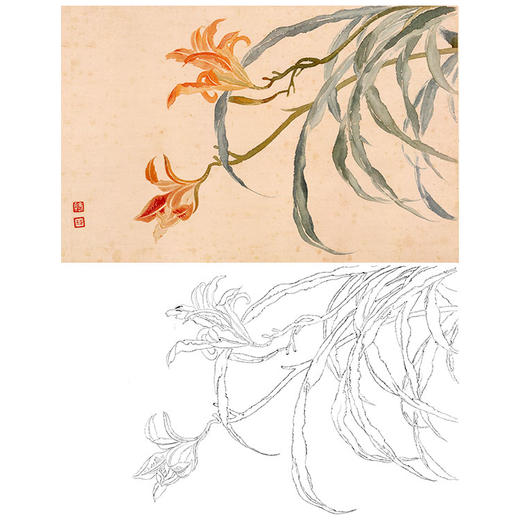 恽寿平没骨花鸟白描底稿-斗方小品册页-SP23 商品图0