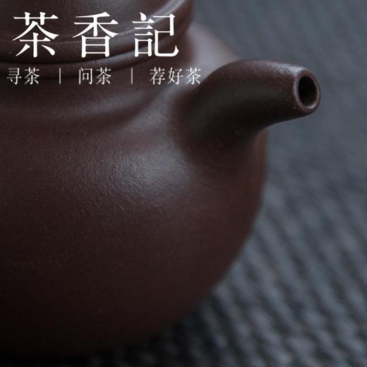 茶香记 原矿老紫泥系列紫砂壶-掇球  杨飞老师  “寿珍”掇球  原矿老紫泥 造型独特 黄金比例 商品图2