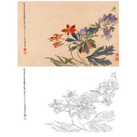 恽寿平没骨花鸟白描底稿-斗方小品册页-SP24