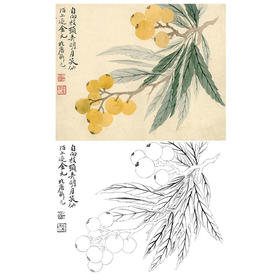 恽寿平没骨花鸟白描底稿-斗方小品册页-SP18