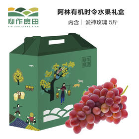 套餐一 阿林时令水果礼盒（预售）