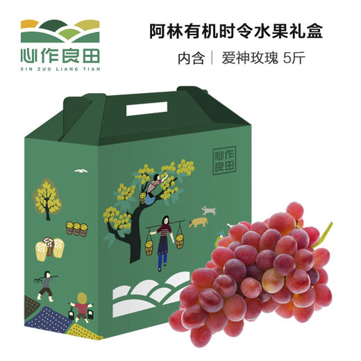 套餐一 阿林时令水果礼盒（预售） 商品图0