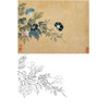 恽寿平没骨花鸟白描底稿-斗方小品册页-SP35 商品缩略图0