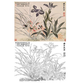 恽寿平没骨花鸟白描底稿-斗方小品册页-SP47