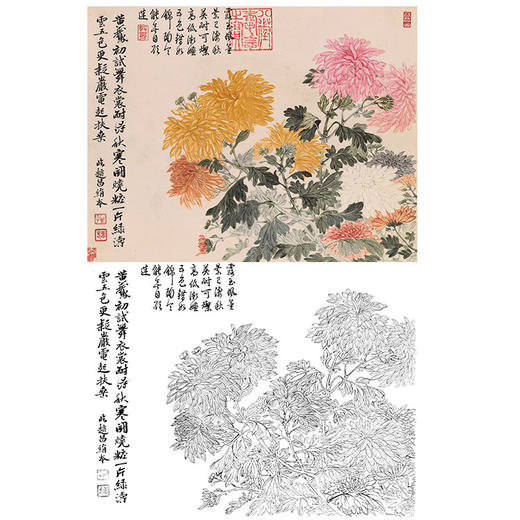 恽寿平没骨花鸟白描底稿-斗方小品册页-SP48 商品图0