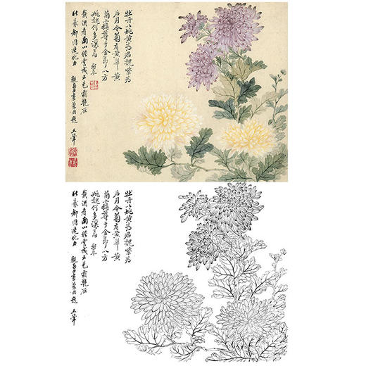 恽寿平没骨花鸟白描底稿-斗方小品册页-SP20 商品图0