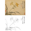 恽寿平没骨花鸟白描底稿-斗方小品册页-SP38 商品缩略图0