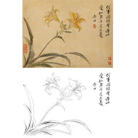 恽寿平没骨花鸟白描底稿-斗方小品册页-SP38