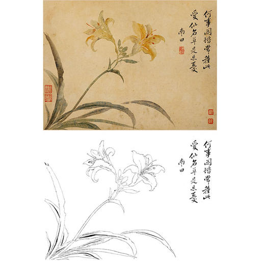 恽寿平没骨花鸟白描底稿-斗方小品册页-SP38 商品图0