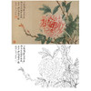 恽寿平没骨花鸟白描底稿-斗方小品册页-SP22 商品缩略图0