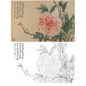 恽寿平没骨花鸟白描底稿-斗方小品册页-SP22