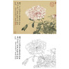 恽寿平没骨花鸟白描底稿-斗方小品册页-SP45 商品缩略图0