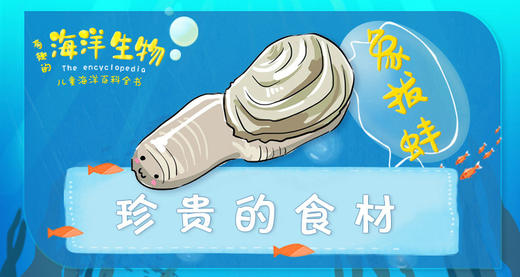 12.珍贵的食材 商品图0