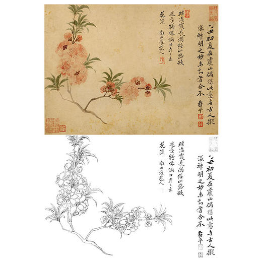 恽寿平没骨花鸟白描底稿-斗方小品册页-SP34 商品图0