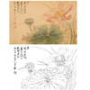 恽寿平没骨花鸟白描底稿-斗方小品册页-SP26 商品缩略图0