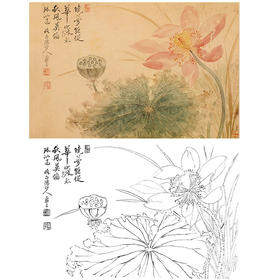 恽寿平没骨花鸟白描底稿-斗方小品册页-SP26