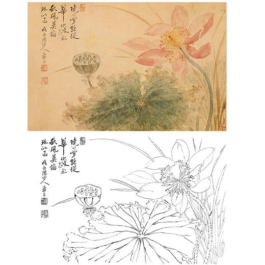 恽寿平没骨花鸟白描底稿-斗方小品册页-SP26 商品图0