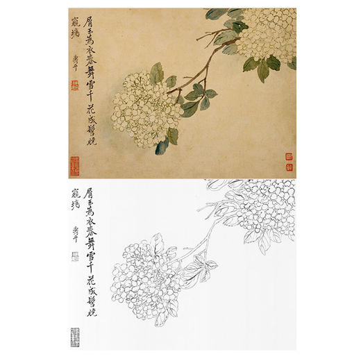 恽寿平没骨花鸟白描底稿-斗方小品册页-SP37 商品图0