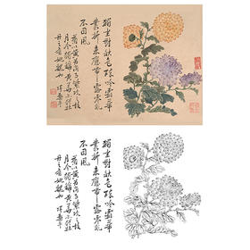 恽寿平没骨花鸟白描底稿-斗方小品册页-SP46