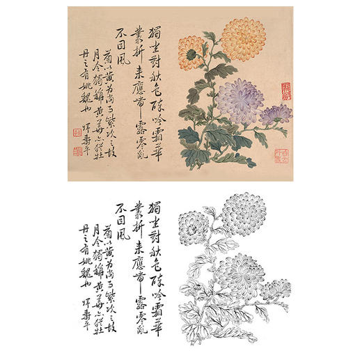 恽寿平没骨花鸟白描底稿-斗方小品册页-SP46 商品图0
