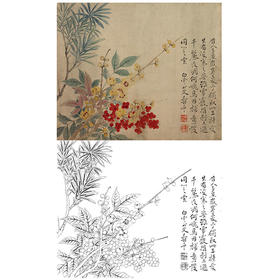 恽寿平没骨花鸟白描底稿-斗方小品册页-SP44