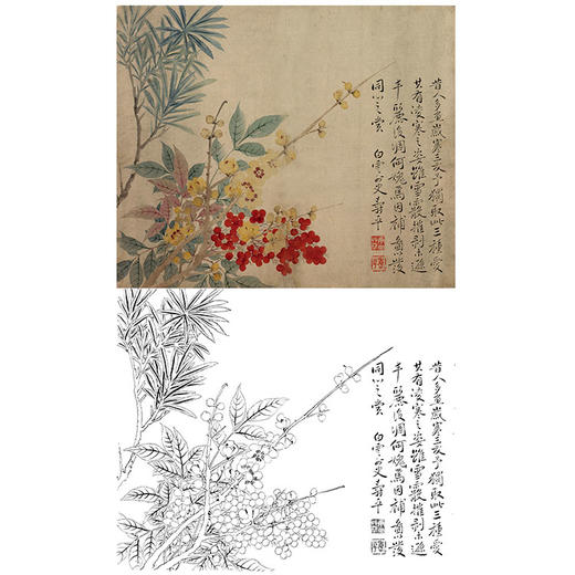恽寿平没骨花鸟白描底稿-斗方小品册页-SP44 商品图0