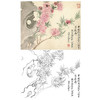 恽寿平没骨花鸟白描底稿-斗方小品册页-SP19 商品缩略图0