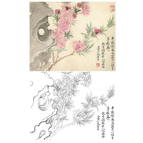 恽寿平没骨花鸟白描底稿-斗方小品册页-SP19